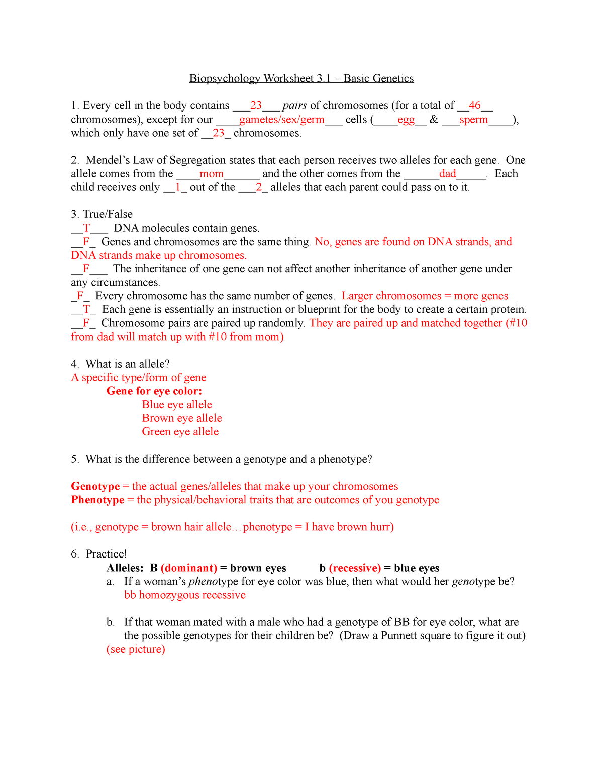 Mendelian Genetics Worksheet Answer Key - Fill and Sign Printable