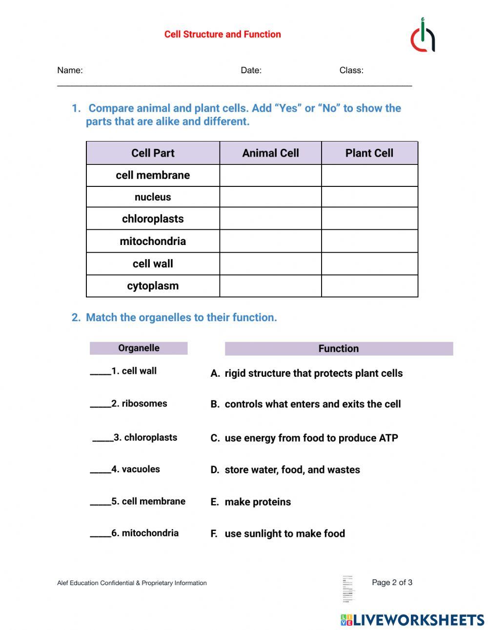 Cell Structure and Functions Science worksheet | Live Worksheets