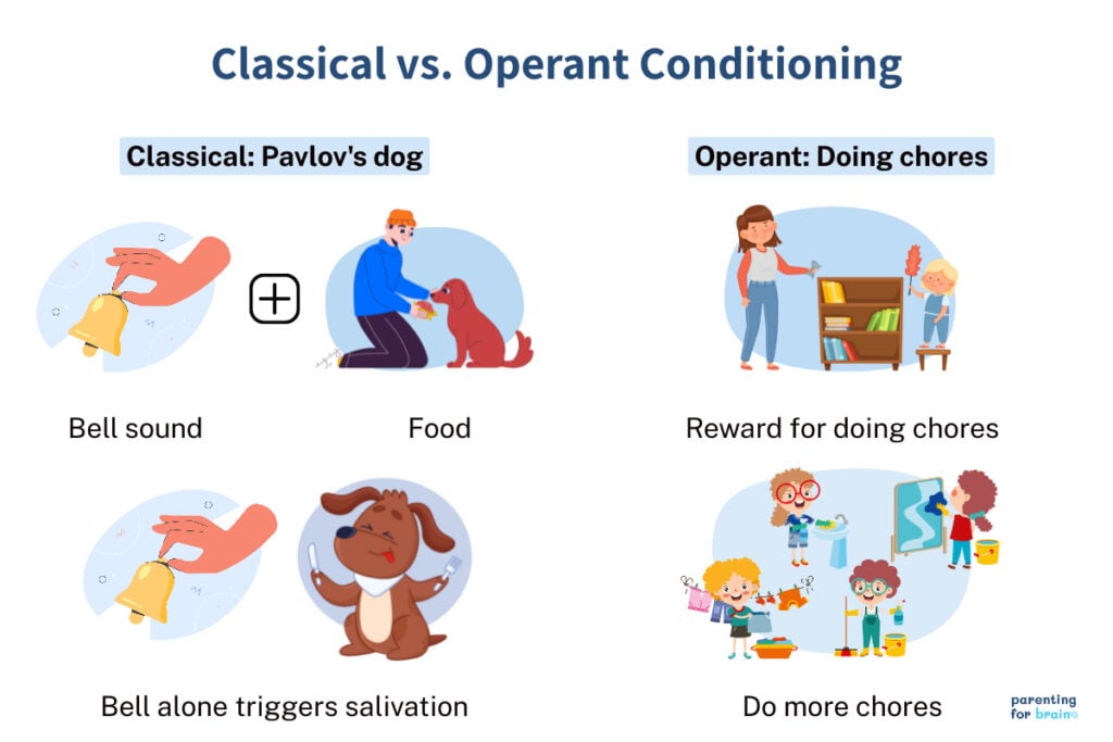 Classical vs. Operant Conditioning Differences and Similarities
