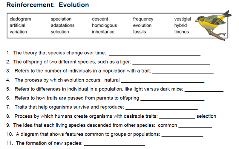 Evolution Review Worksheet Answer Key Pdf - Fill Online, Printable