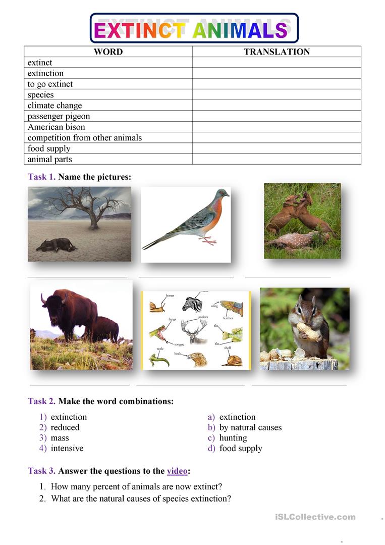 Extinction Worksheets WorksheetsCity