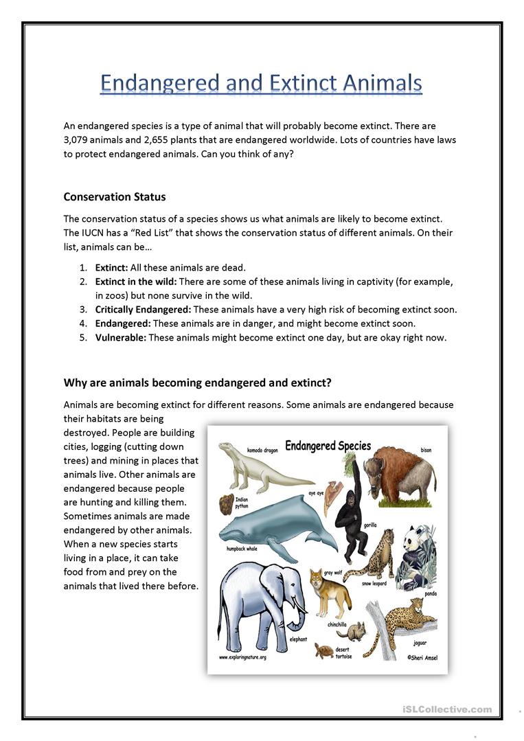 Endangered Species Examples Worksheets - WorksheetsCity