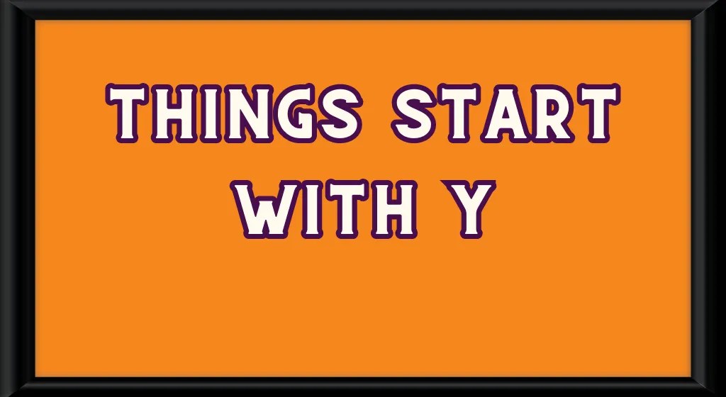 Things Starting With Y List of Super Easy Words with Y