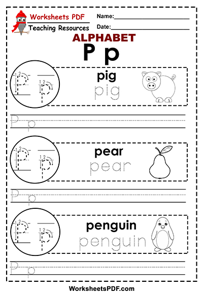 Letter P ( A To Z Alphabet) - Worksheets Pdf