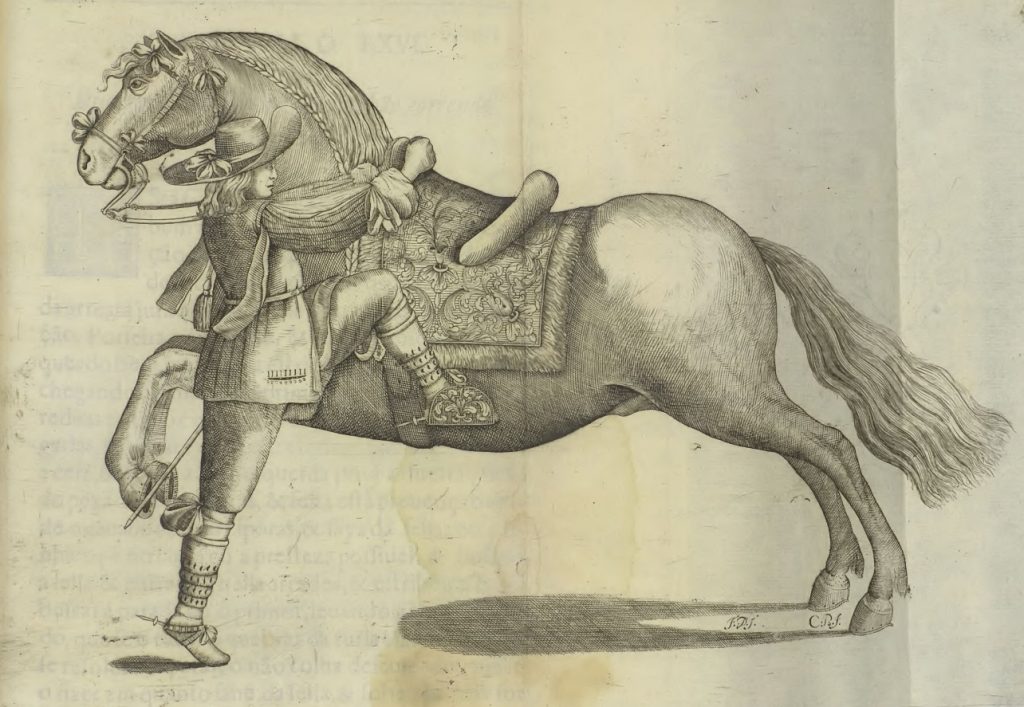 The Works of Chivalry History, culture and traditions of classical