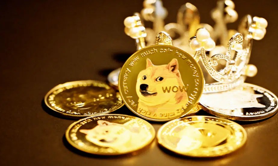 How To Buy Dogecoin In Canada? Work Study Visa