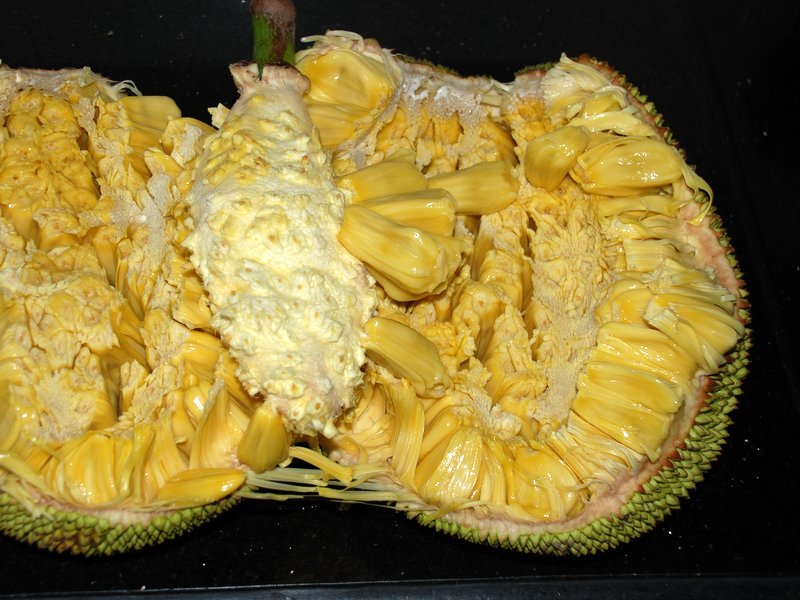 Jackfruit World Crops Database Tropical fruits