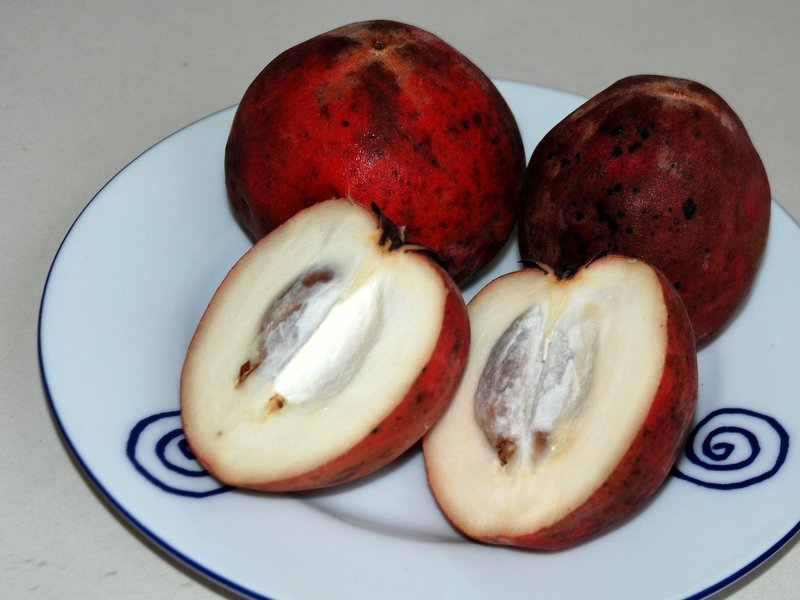 Velvet apple World Crops Database