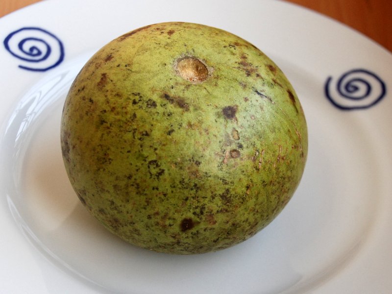 Bael fruit dried World Crops Database