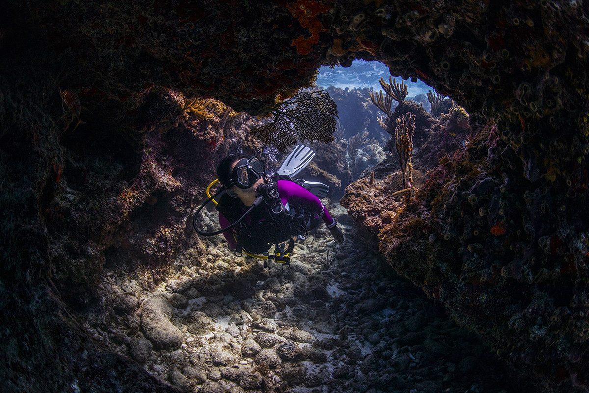 Safe Diving Practices DAN World