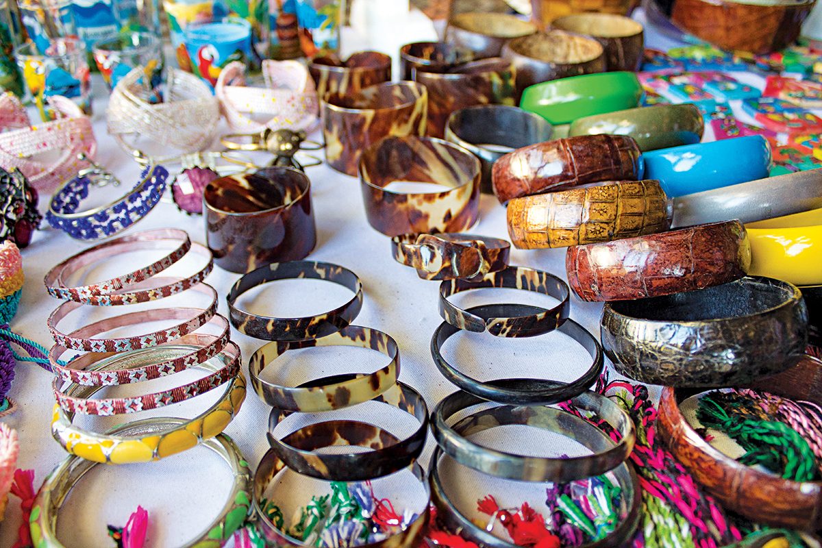 See Shell App and the Illegal Tortoiseshell Trade DAN World