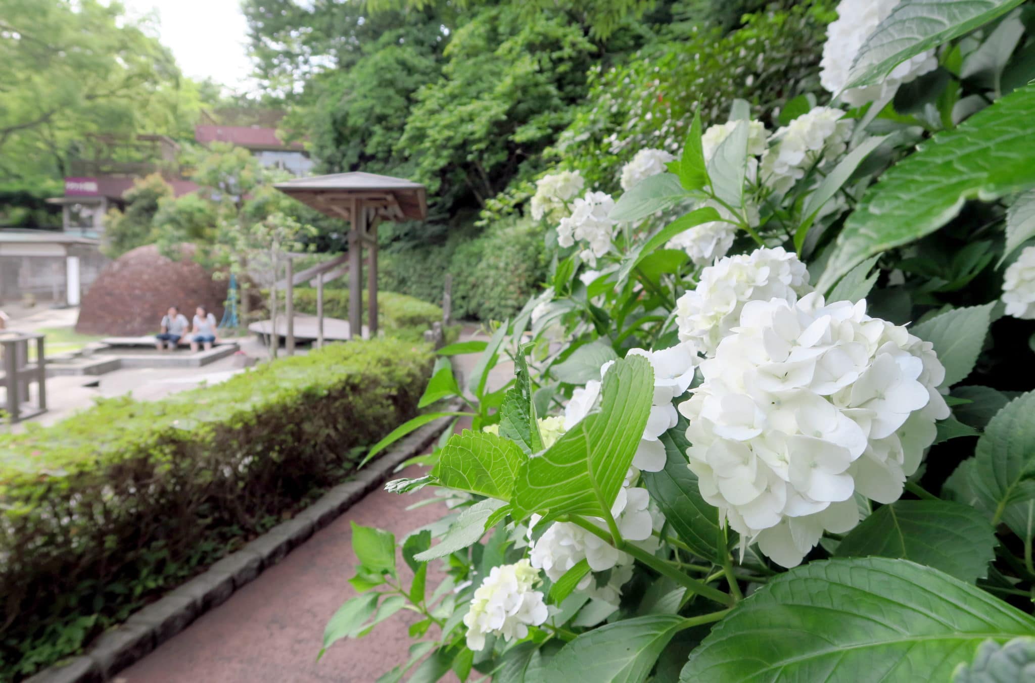Manyo Park Yugawara Japan