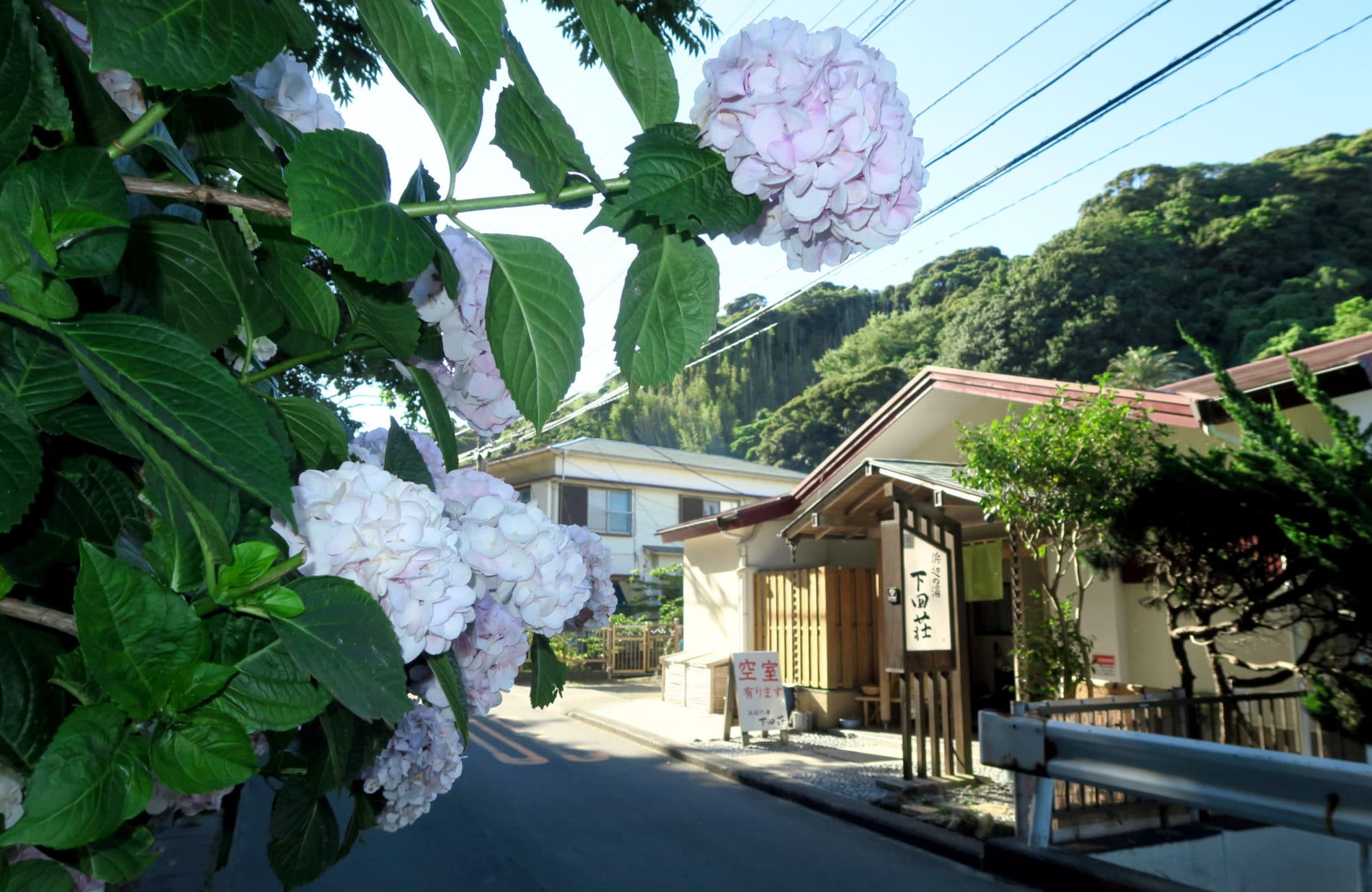 Shimodasou Guesthouse Sotoura Beach Shimoda Izu Peninsula Japan