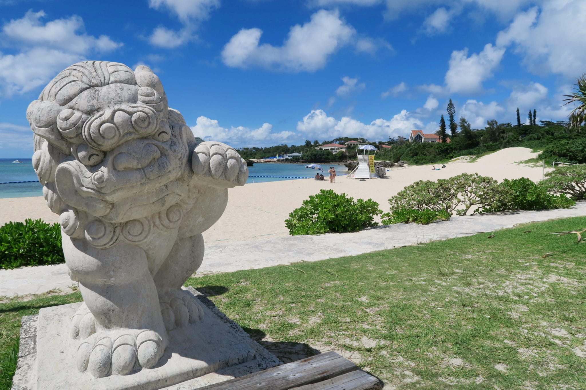 Scuba diving in Okinawa a firsttimer guide World Adventure Divers