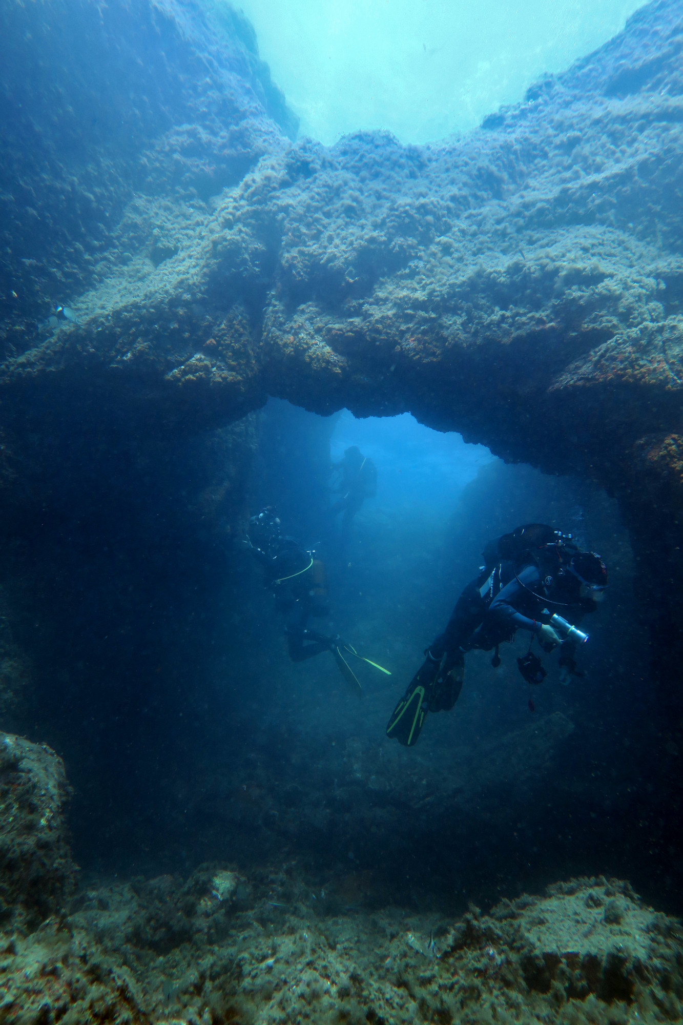 Diving in St Raphael - Lion de Mer - Esterel