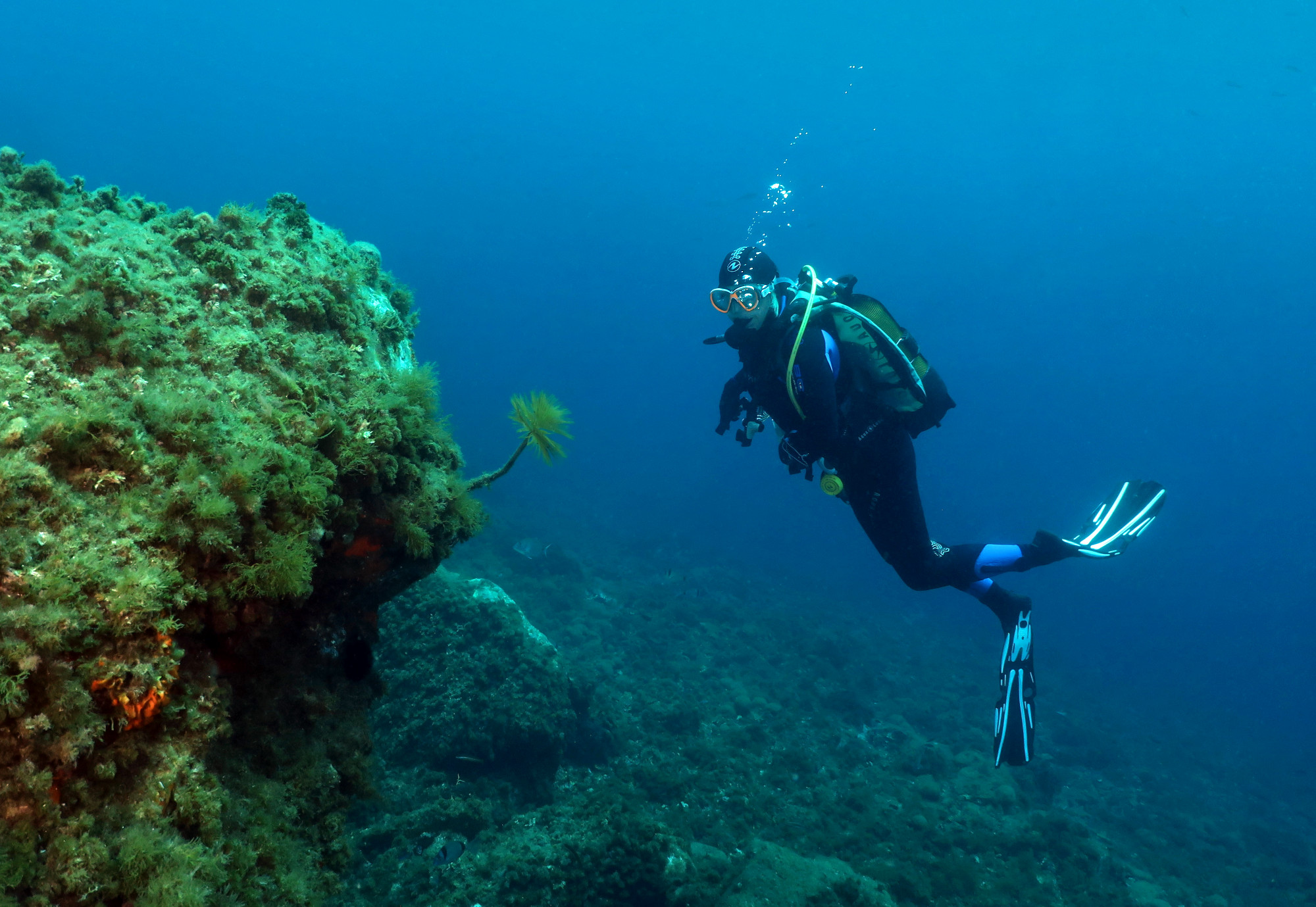 Diving Toulon