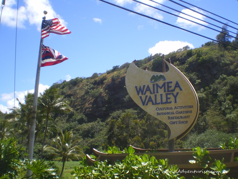 Exploring Waimea Valley‏ & Beach In Honolulu World Adventurists