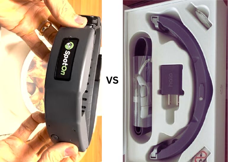 SpotOn Vs Halo Dog Fence Which One to Choose WAF