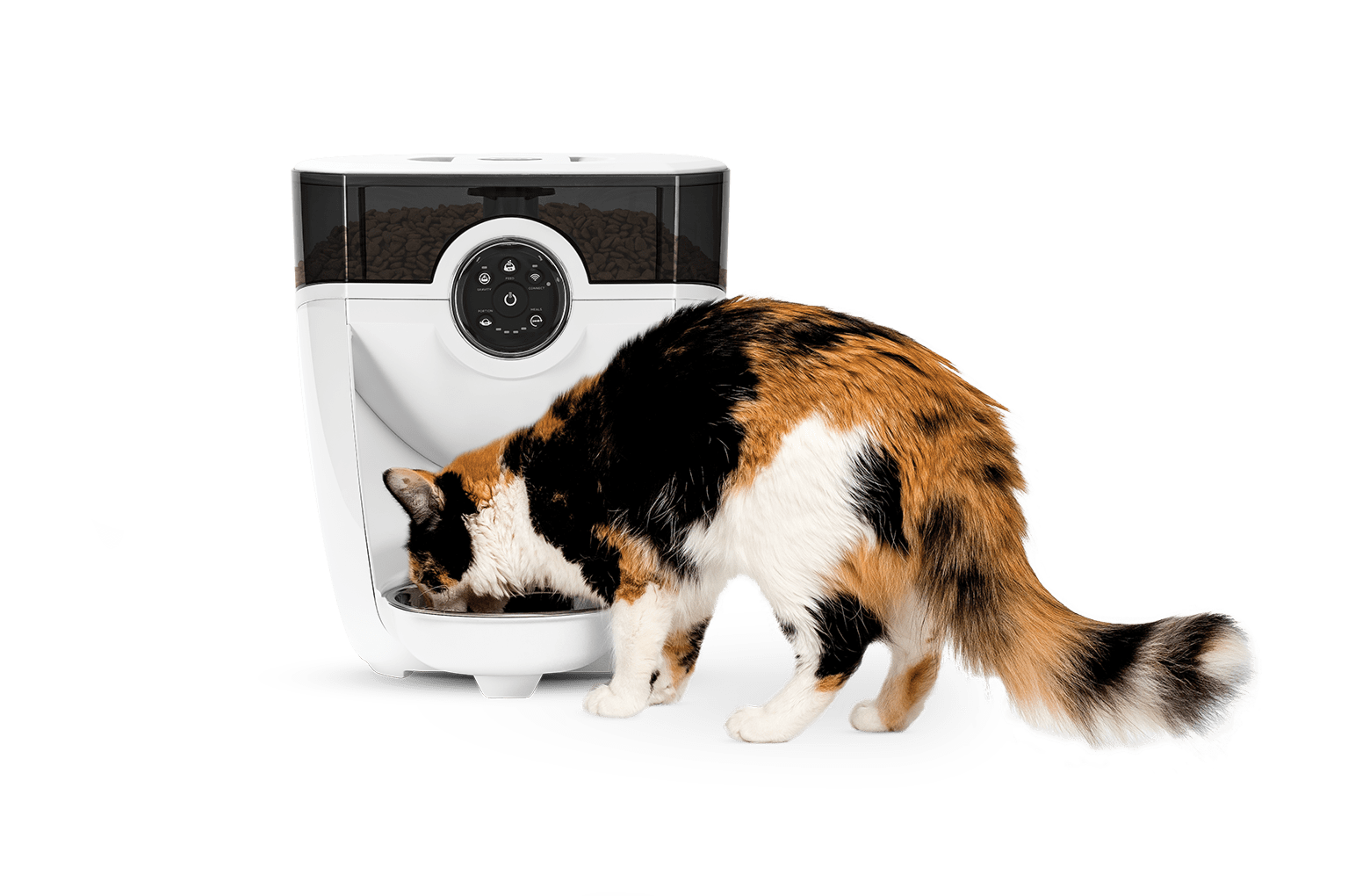 Feeder Robot Review A MustHave Or Miss? Our Exclusive Take