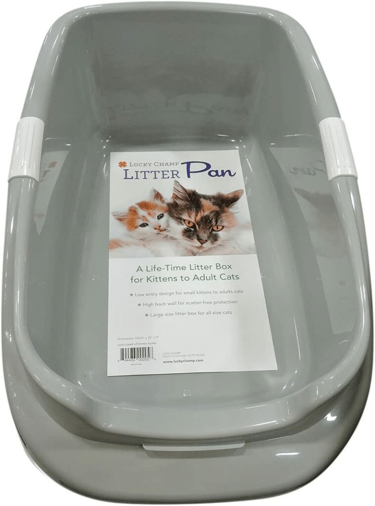 Senior Cat Litter Box Accessible Solution For Old Kitties