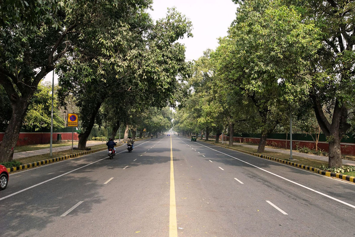 Tree Plantation Along City Roads New Delhi Is The Best In India