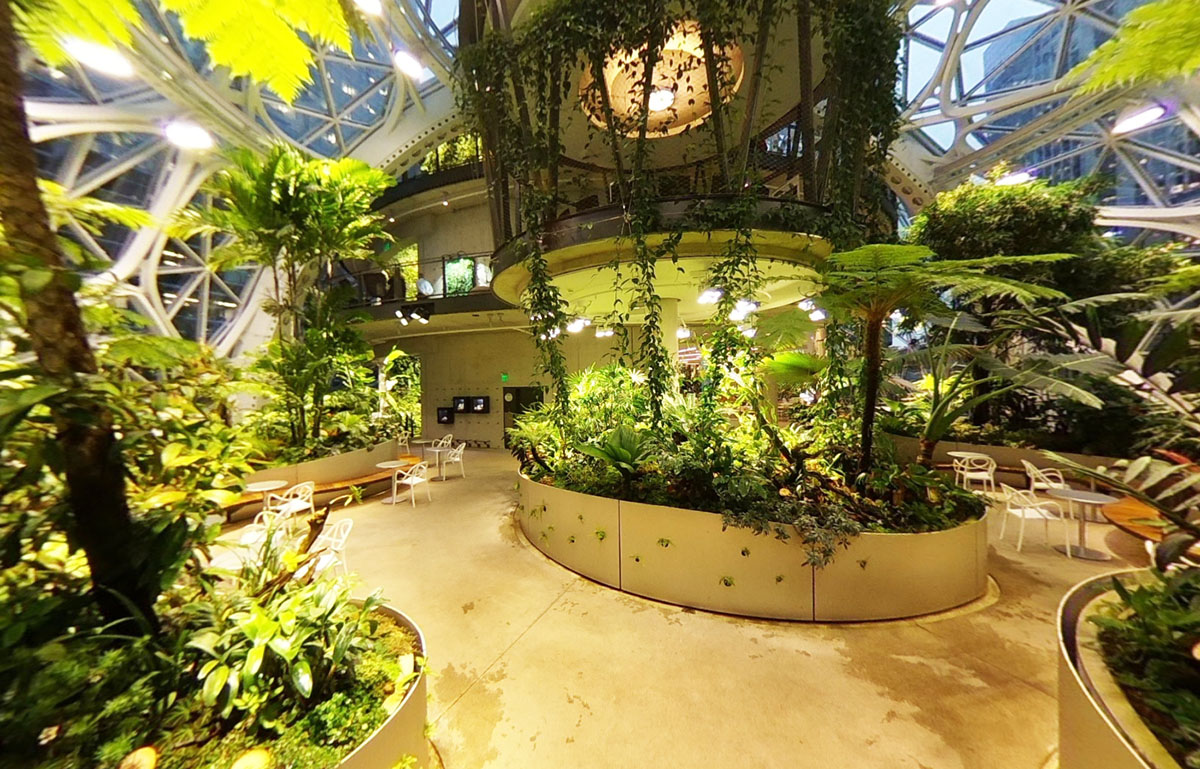 Amazon opens its treefilled spherical headquarters in downtown Seattle