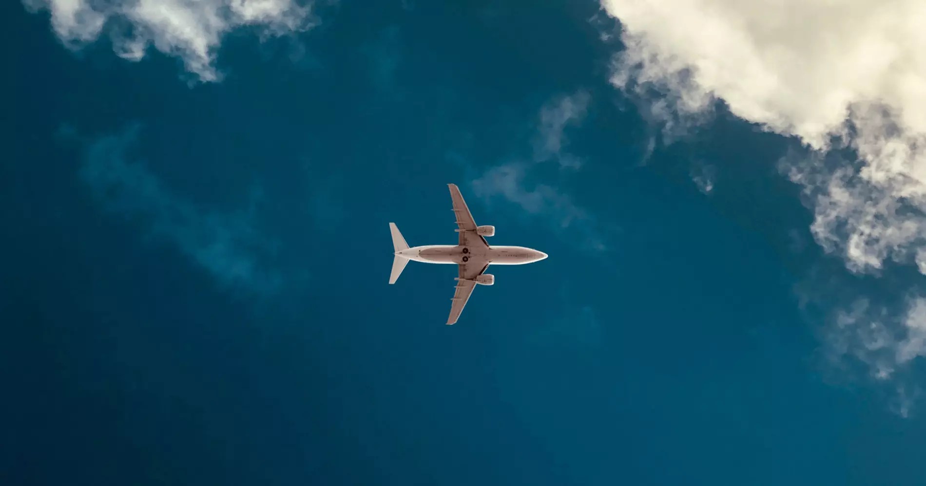 Why do planes fly? Bernoulli's principle