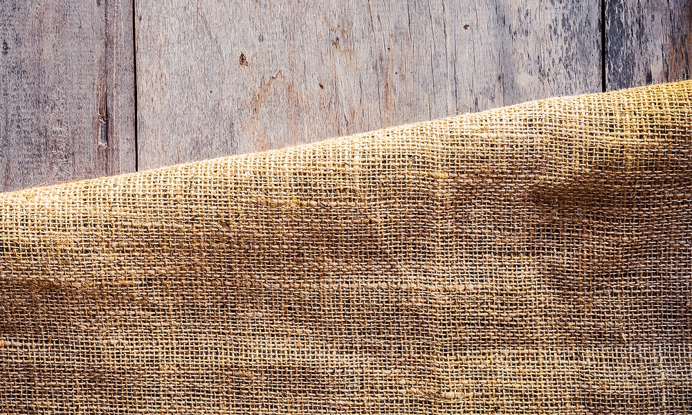 12 Tips on How to Keep Birds From Eating Grass Seed World Birds