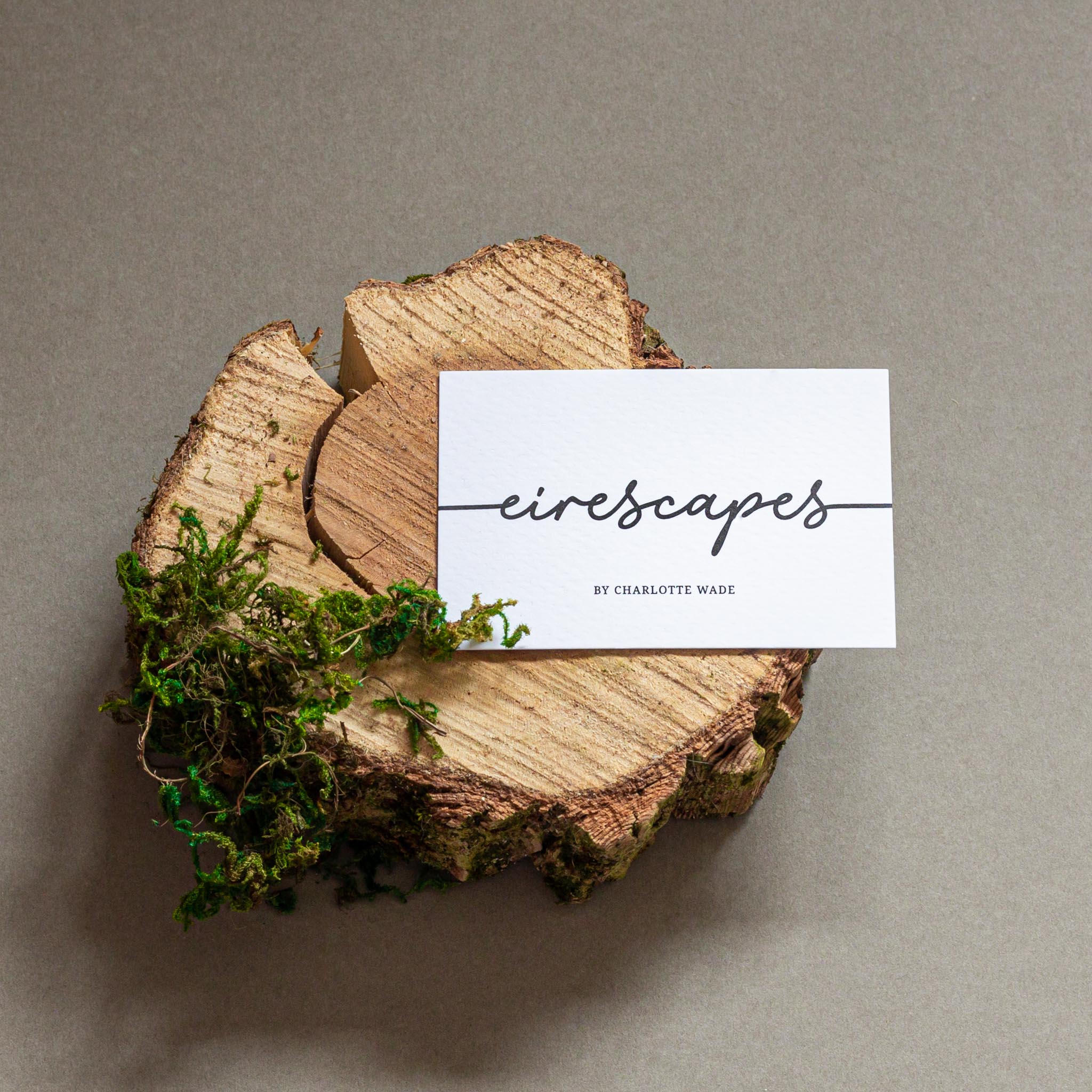 Landscape Photographer Creates Nature Inspired Brand Identity World