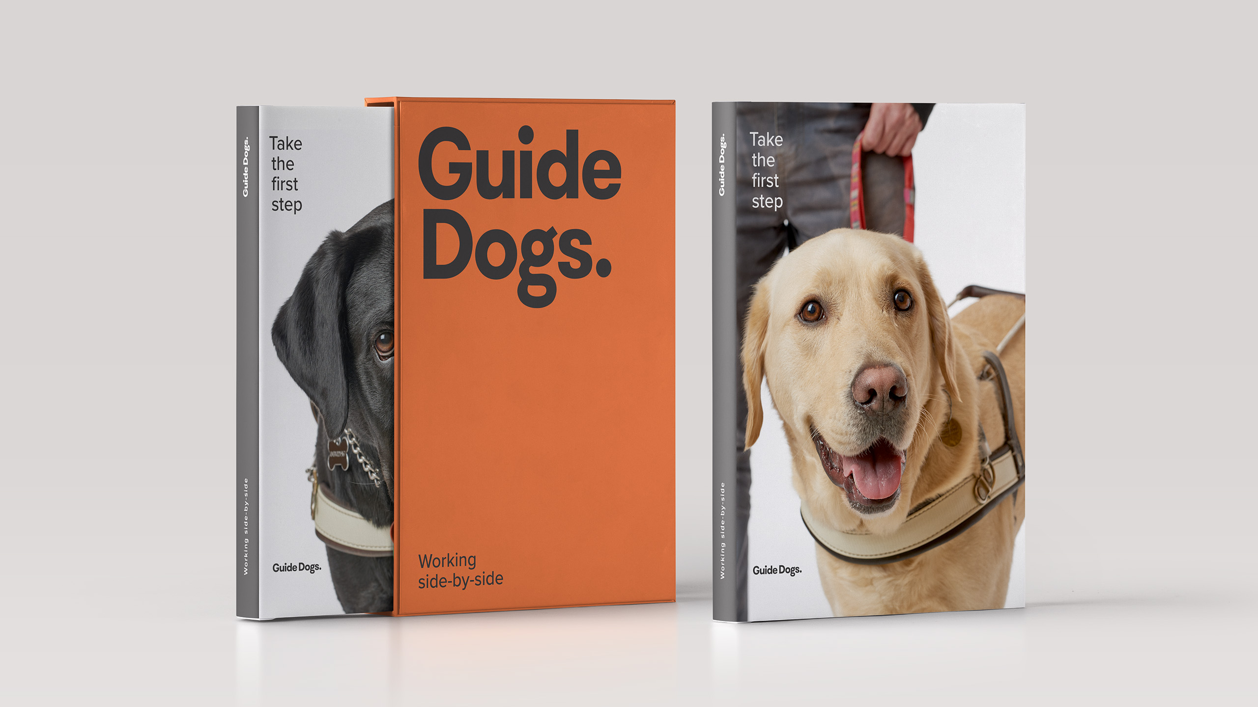 Guide Dogs Brand Transformation by FutureBrand Australia World Brand