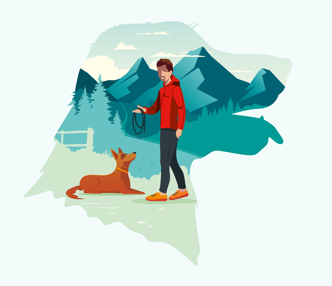 Branding and Packaging Design for Devoted Pet Food by Pencil Studio