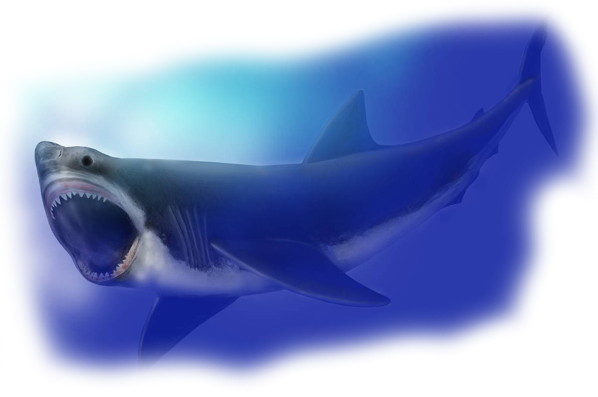 5e Megalodon World Builder Blog
