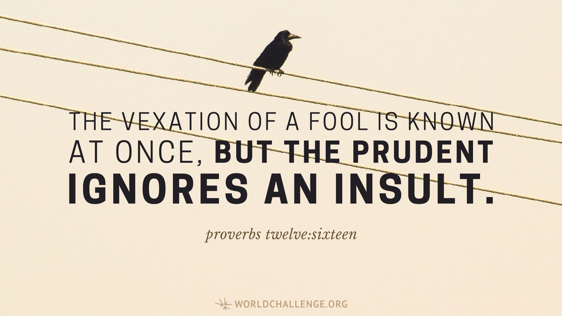 Proverbs 1216 World Challenge