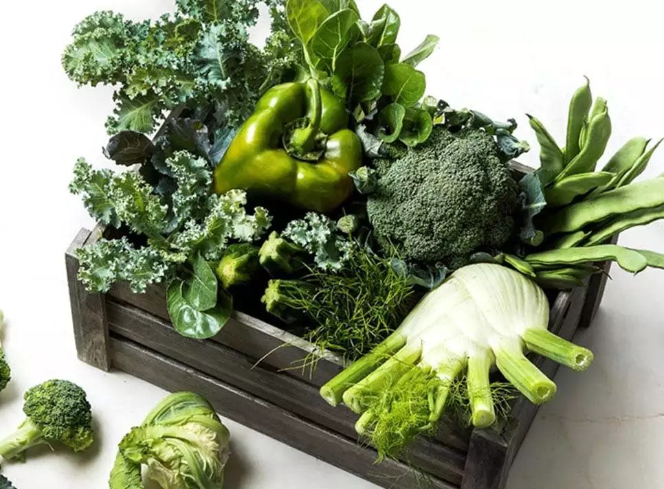 Energy saving with commercial refrigerators WORLDCHEFS