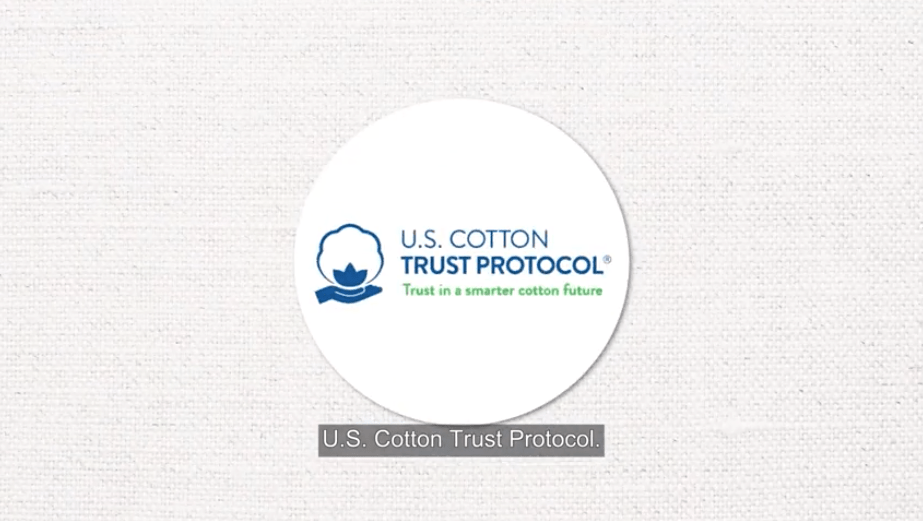 Latin America World Cotton Day