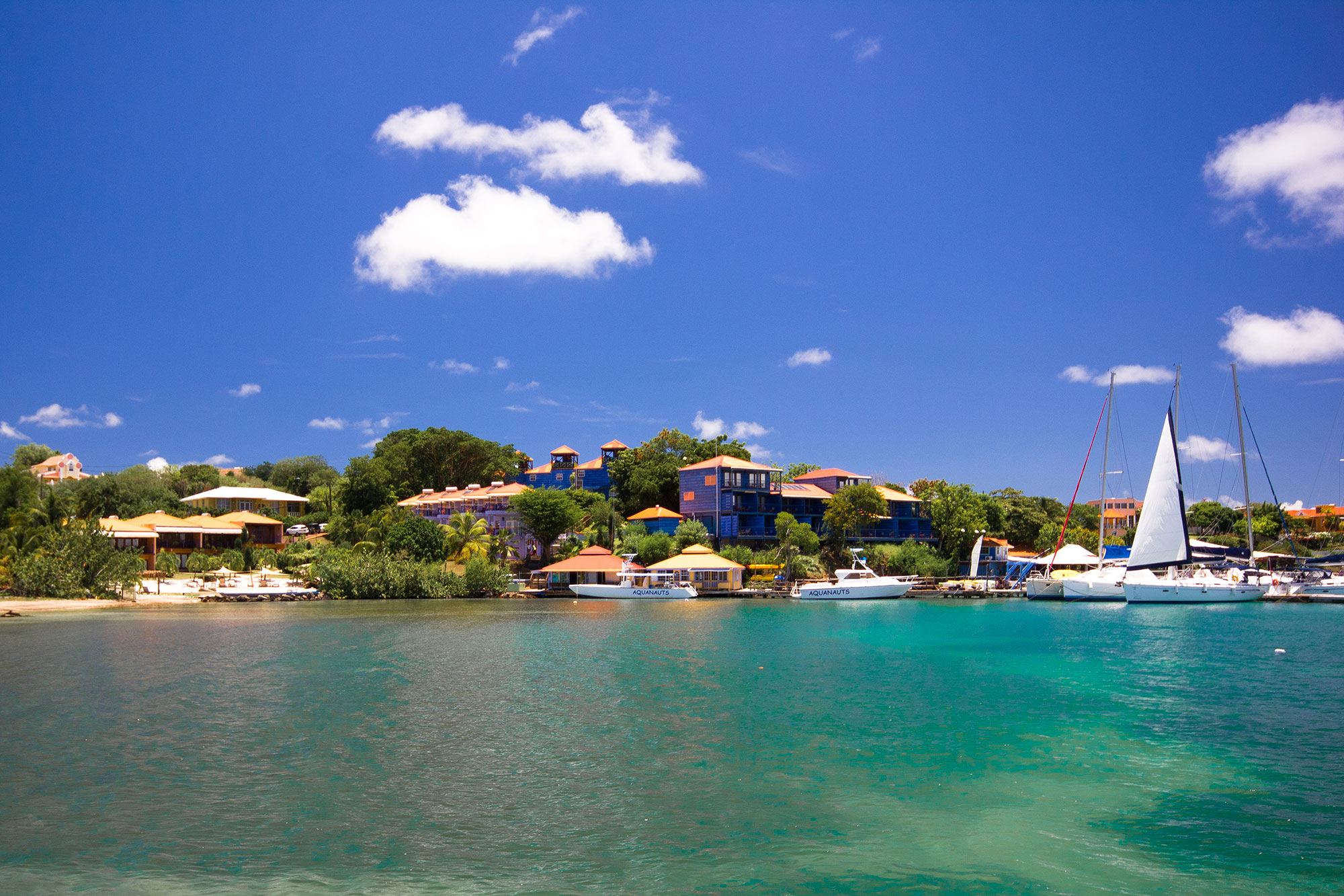 Aquanuts / True Blue Bay Resort World Dive Adventures