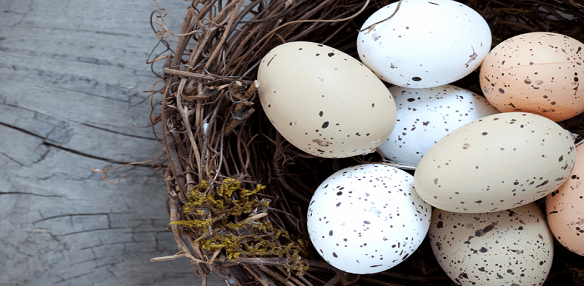 5 Steps to Choosing your Egg Donor! World Fertility Services