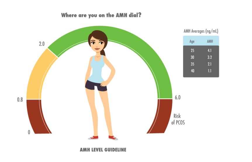 Low AMH Know Causes, Symptoms and Treatment World Fertility Services