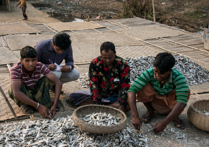 Understanding wellbeing in the dried fish sector in Bangladesh WorldFish
