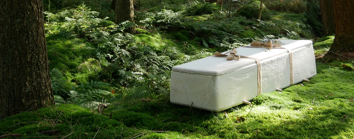 Loop Living Cocoon World Future Awards