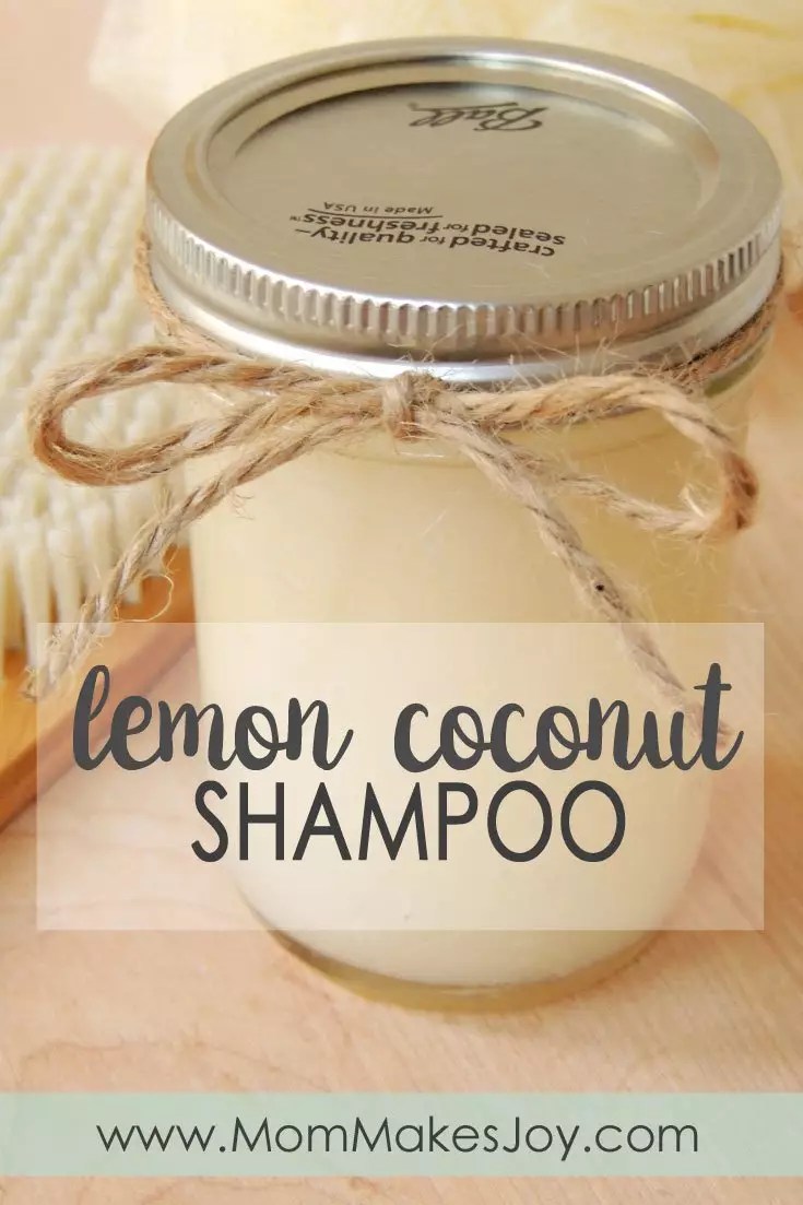 DIY Organic Hair Shampoo Recipes For Healty And Soft Hair World