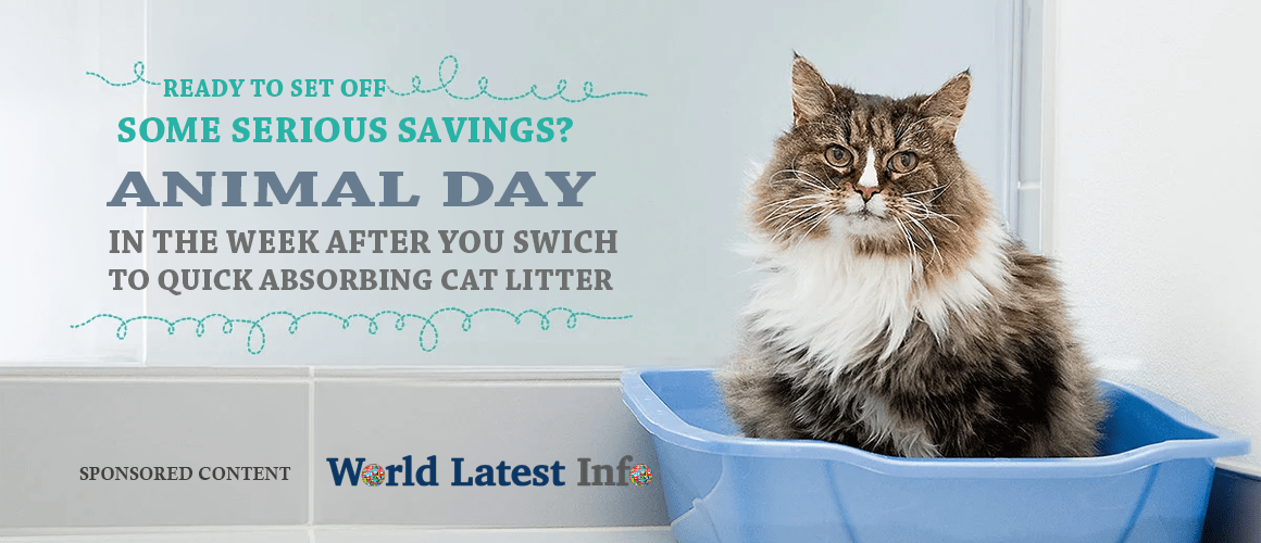 Pretty Litter Review