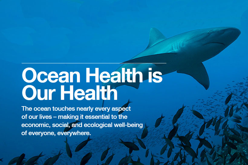 Ocean Health Index World Ocean Observatory