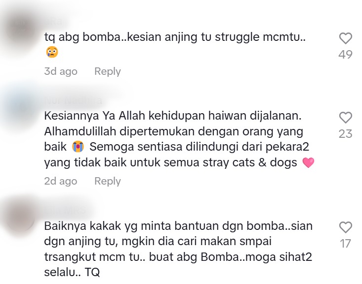 WATCH M’sians Praise Abang Bomba for Helping Stray Dog That Got Its