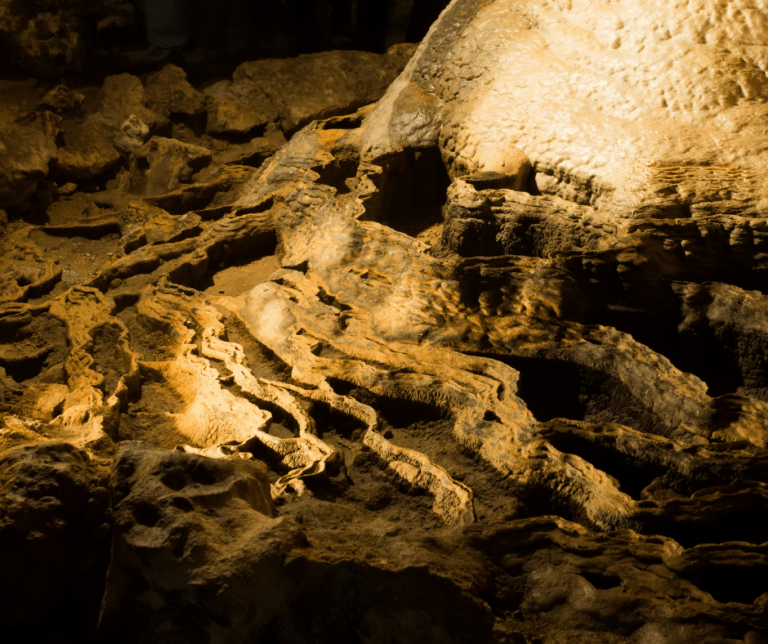 The Best List of Caves in Florida World of Caves