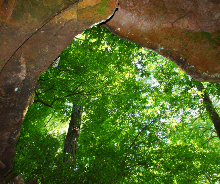 The Best List of Caves in Mississippi World of Caves