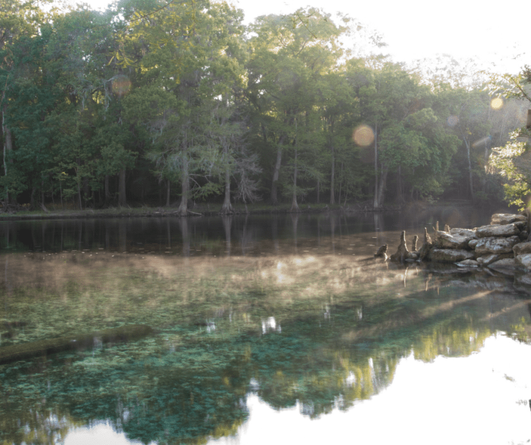 The Best List of Caves in Florida World of Caves