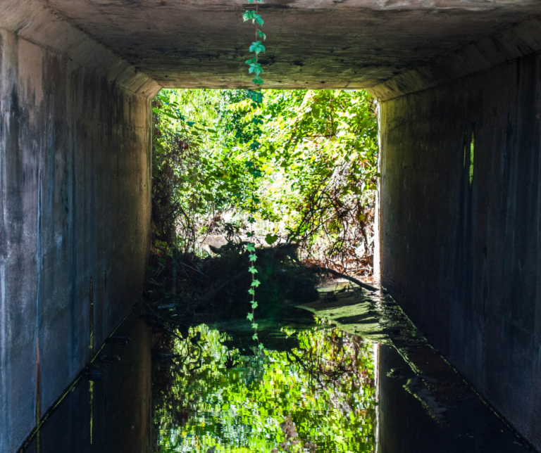 The Best List of Caves in Louisiana World of Caves