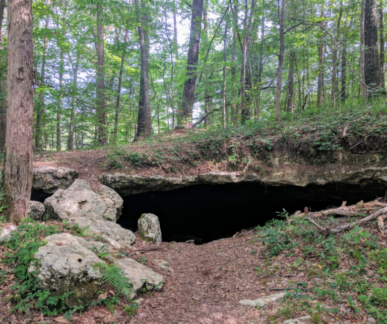 The Best List of Caves in Florida World of Caves