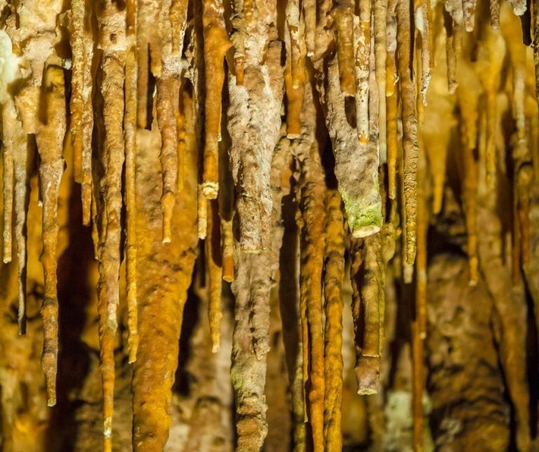 The Best List of Caves in Virginia World of Caves